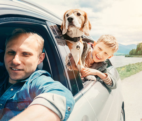 Auto Insurance