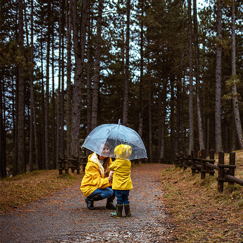 Umbrella Insurance